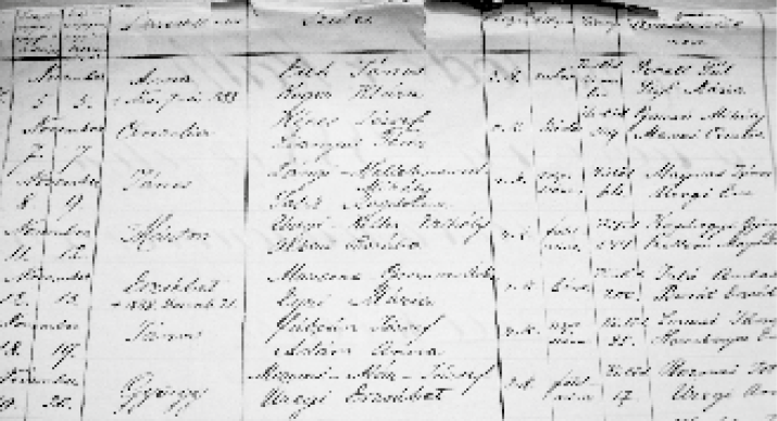 Auszug aus den Kischludter Taufmatrikeln (1888)